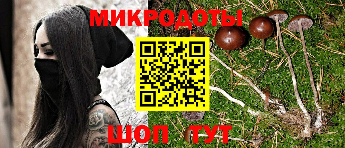 Галлюциногенные грибы мухоморы Кемерово