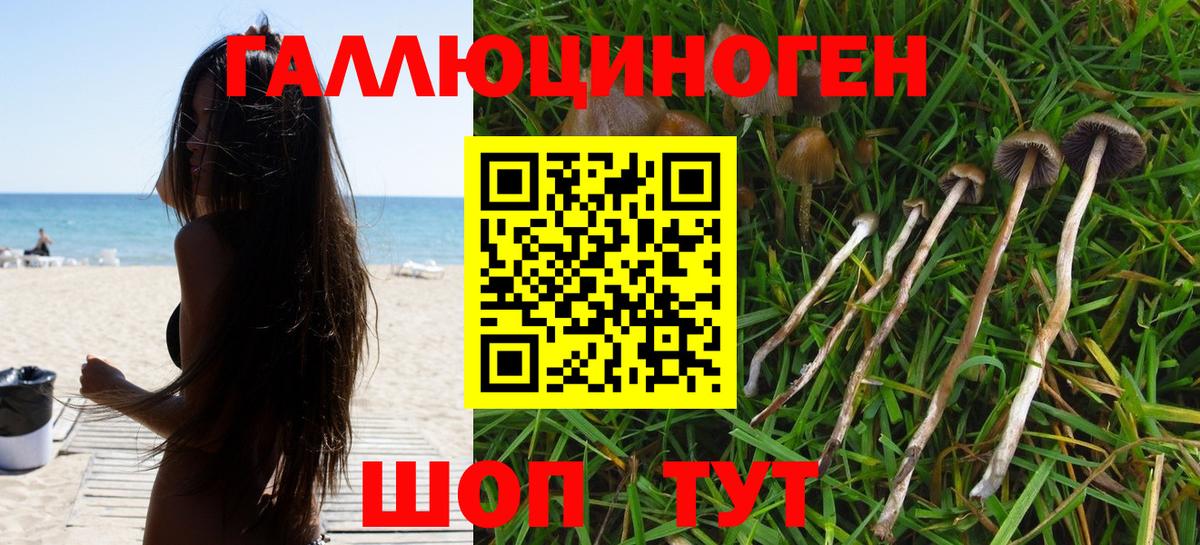 Псилоцибиновые грибы Psilocybine cubensis  Псилоцибиновые грибы ЛСД  как найти наркотики  Вход с VPN  Кемерово 